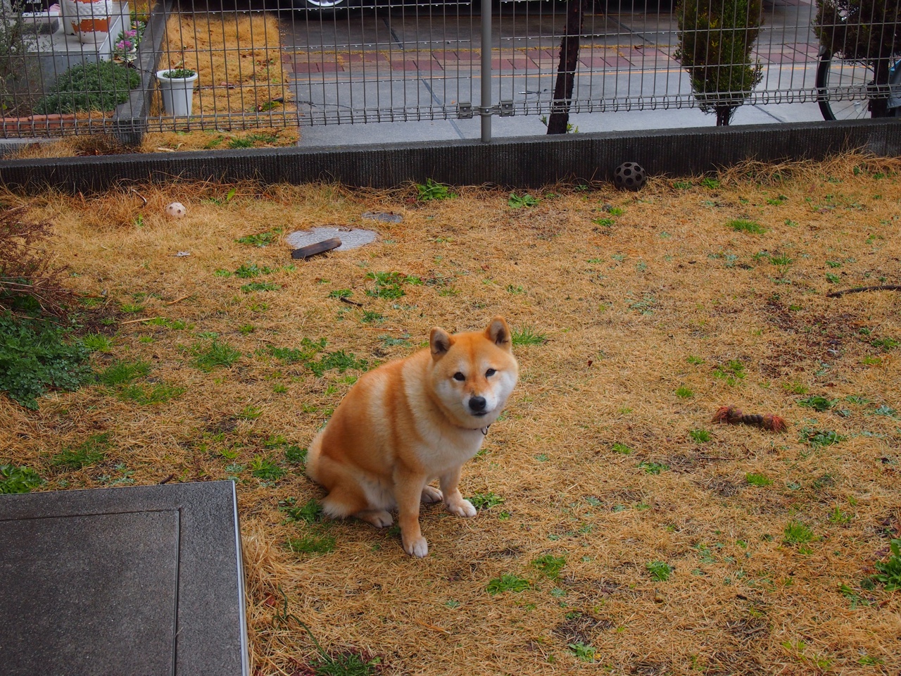 全国各地青少年篮球训练营“校企合作”广泛展开,青少年篮球培训中心