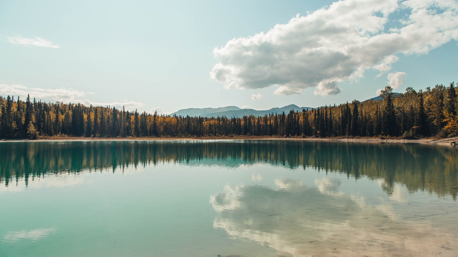 德甲战火升腾，精彩反击和精彩扑救不断上演，德甲榜首大战